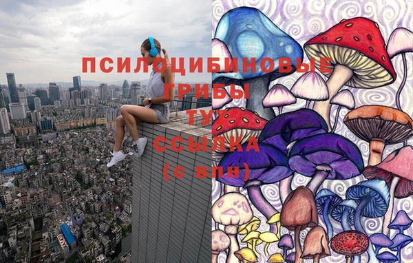 гидра Надым