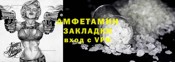 гидра Надым