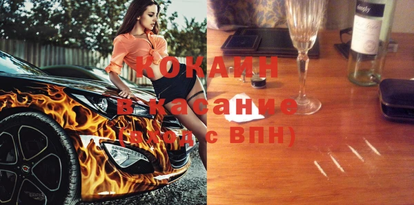 гидра Надым