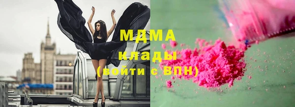 гидра Надым