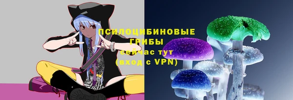 дурь Наволоки
