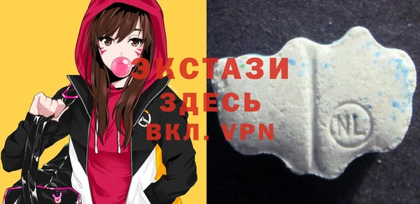 гидра Надым
