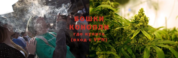 гидра Надым
