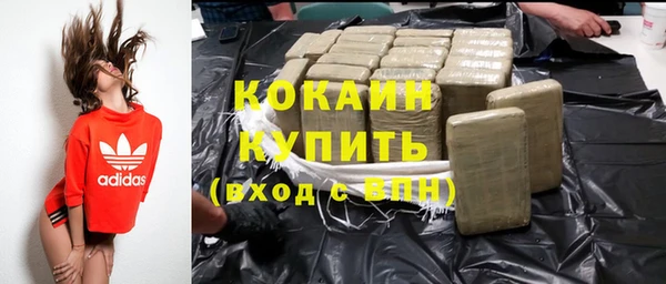 гидра Надым