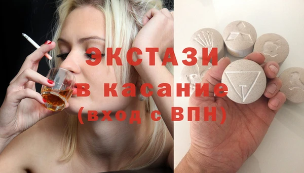 гидра Надым