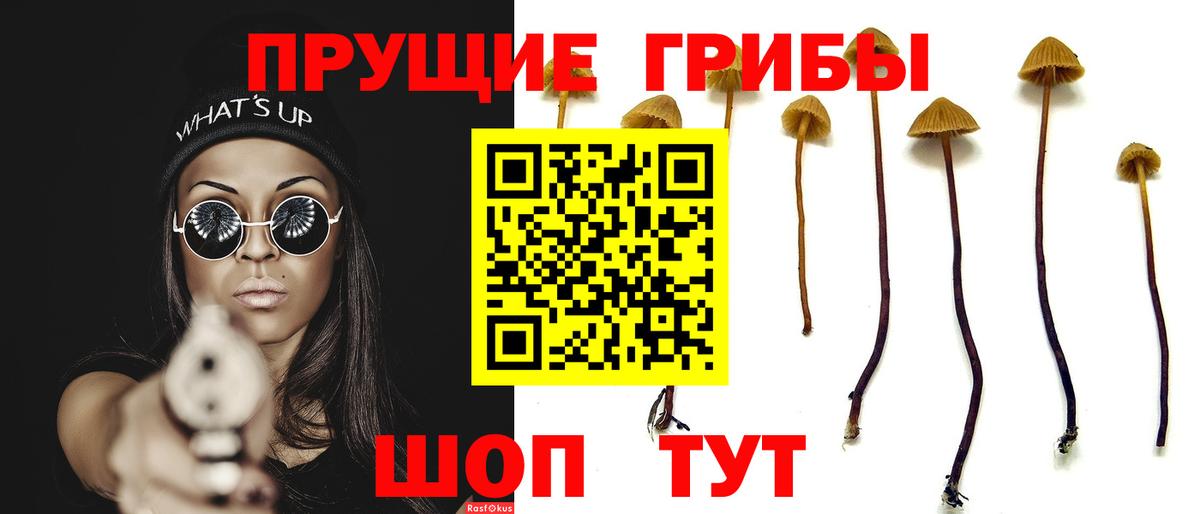 Галлюциногенные грибы MAGIC MUSHROOMS Нефтеюганск
